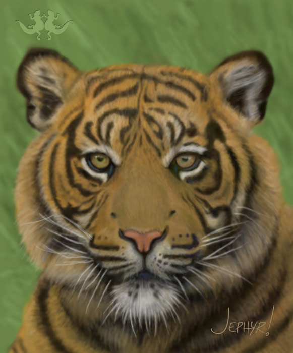 Digital Painting "Tiger Photo Study; - Copyright, 2017, Jephyr! All Rights Reserved